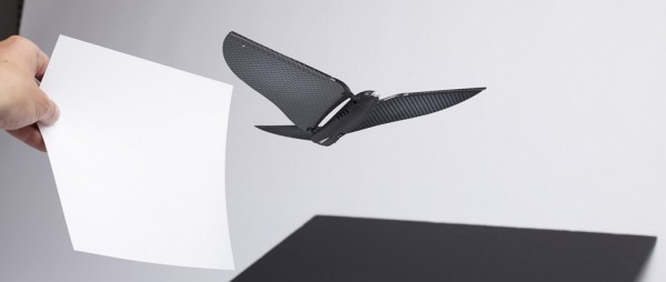 На Indiegogo появилась бионическая птица, управляемая при помощи смартфона