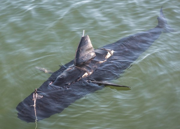 GhostSwimmer: робот-акула на службе ВМФ США