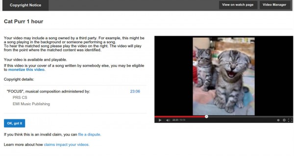 «Поющий» кот нарушил авторские права на YouTube