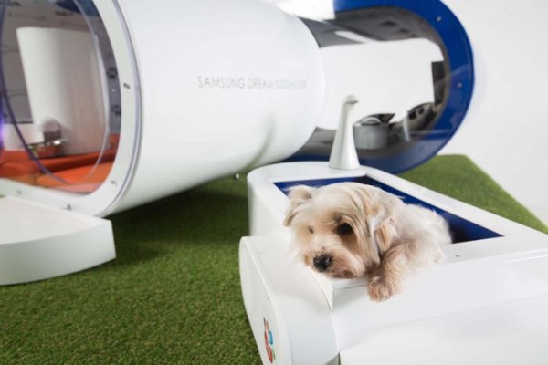 Dream Dog House: собачья конура класса люкс от Samsung
