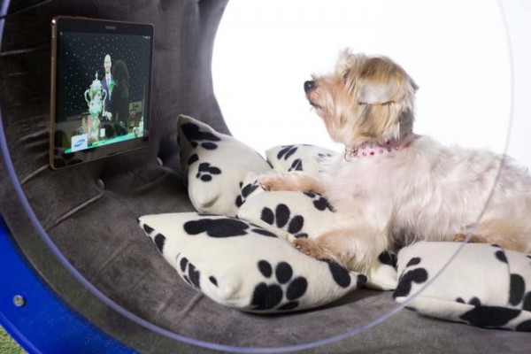 Dream Dog House: собачья конура класса люкс от Samsung