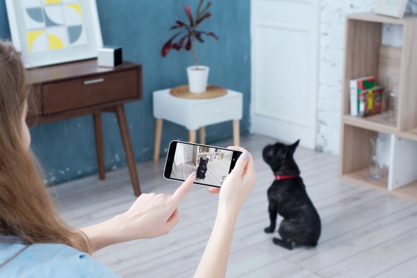 Petcube — камера для общения с домашними питомцами