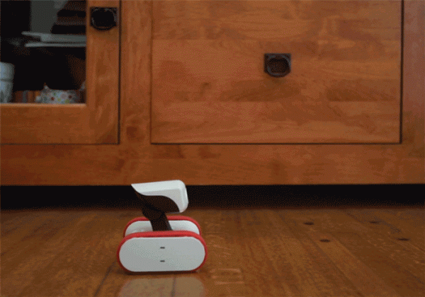 Riley — миниатюрный домашний робот для видеонаблюдения