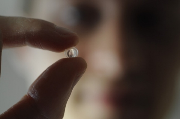 Micro Phone Lens – линза, которая превратит смартфон в микроскоп