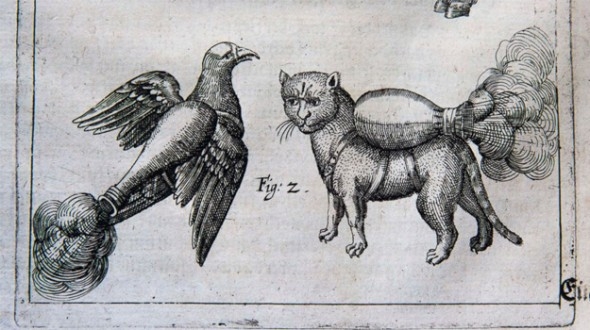 Реактивные кошки и голуби-бомбардировщики… ох уж этот 16-й век