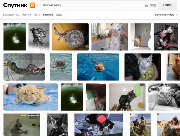 Google напрягся: Ростелеком запустил национальный поисковик «Спутник»