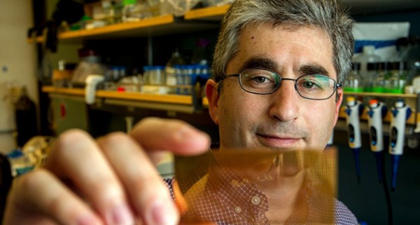 В Стэнфорде создали чип для быстрой диагностики диабета