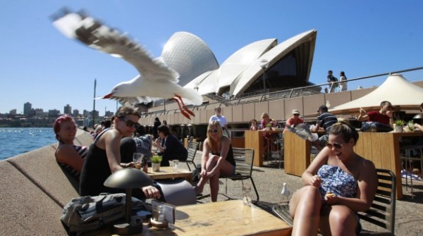 Роботизированная птица охраняет Сиднейский оперный театр