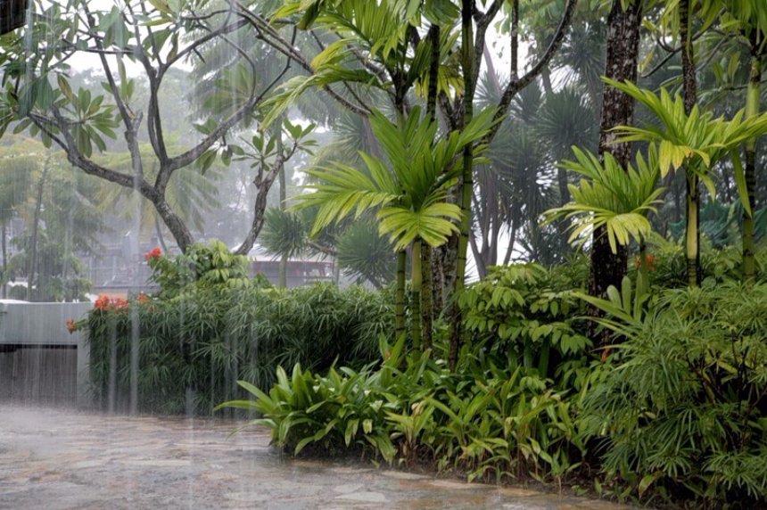 В НАСА обещают увеличение дождей над тропической зоной