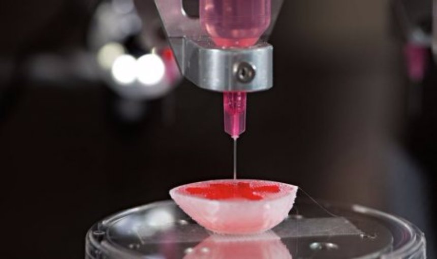 В Оксфорде начнут применять 3D-печать живых тканей