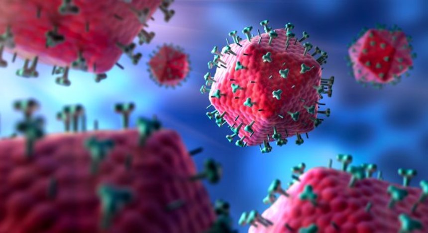 Американские ученые смогли найти лечение против 99 процентов штаммов ВИЧ-инфекции