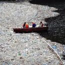 В Англии нашли уникальный способ очистки моря от пластика