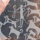 Наскальные рисунки пролили свет на процесс одомашнивания собак в древности