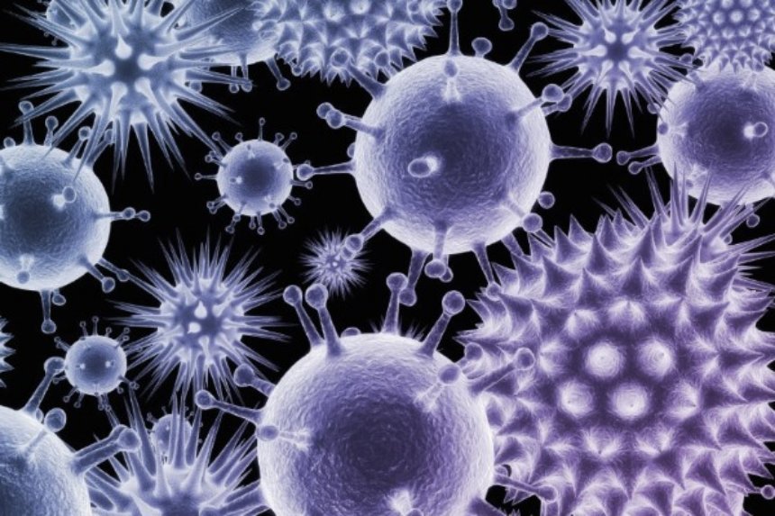 В Канаде искусственным путем создали вирус оспы