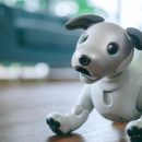 Представлена новая версия собаки-робота Aibo