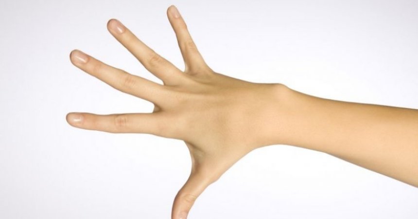 По длине пальцев можно определять здоровье населения