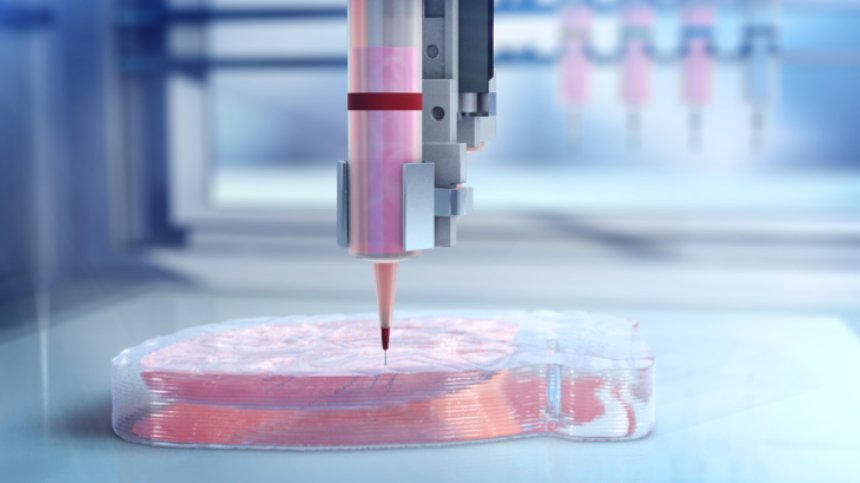 Ученые пытаются напечатать сердце на 3Д-принтере
