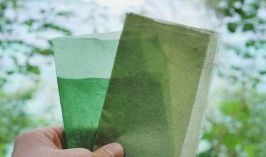 Пластик могут заменить съедобными водорослями