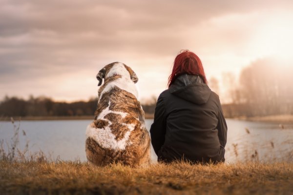 Ученые: Общение с собаками навсегда меняет организм человека