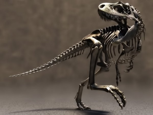 В Париже скелет редчайшего динозавра ушел с молотка за два миллиона евро