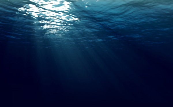 Исследователи: Люди могут дышать под водой