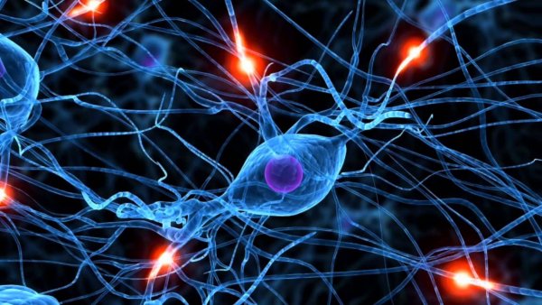 Ученые: Вспышки света – это медитация для нервной системы