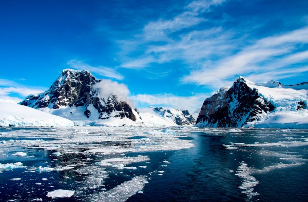 Температурный рекорд зафиксирован учеными в Антарктиде