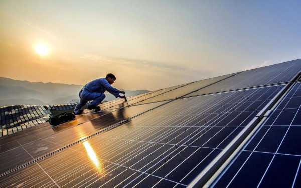 Активисты мешают Илону Маску строить крупнейшее в мире поле под солнечные батареи