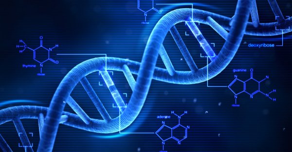 В Британии заявили о реальной допустимости менять ДНК человека