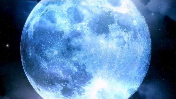 Ученые узнали, что человек появился на свет благодаря Луне