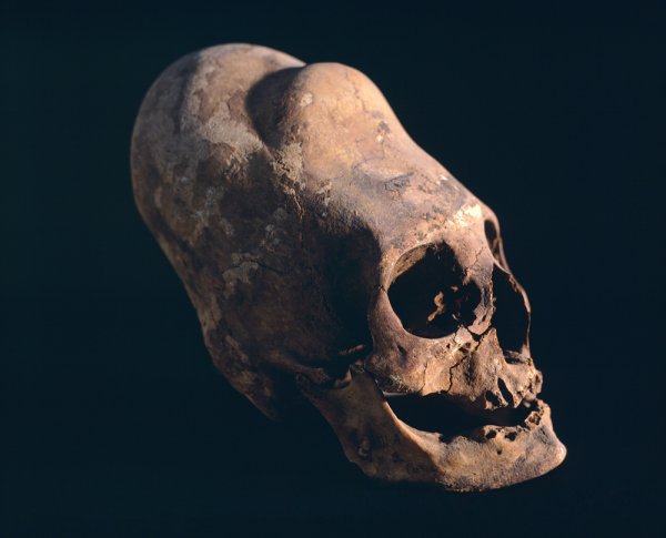 Уфологи в Испании нашли инопланетный череп