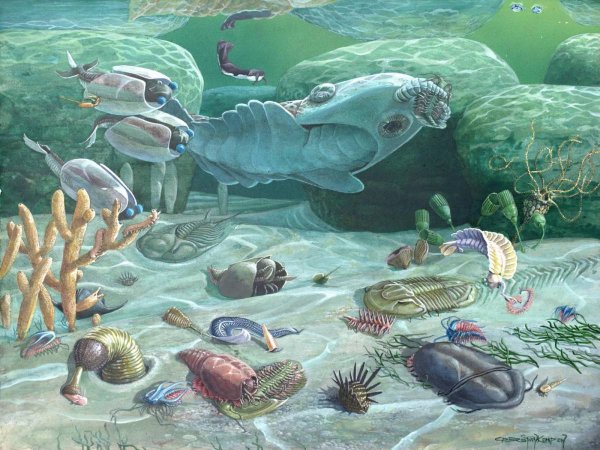 Ученые обнаружили древнейшие свидетельства жизни на Земле