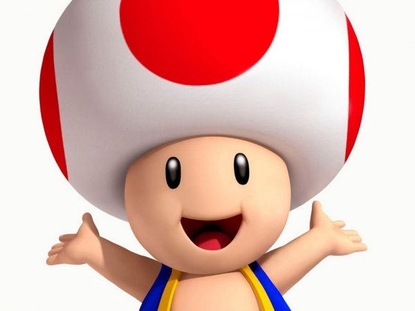 Nintendo раскрыли правду о голове Тоада из игр Mario