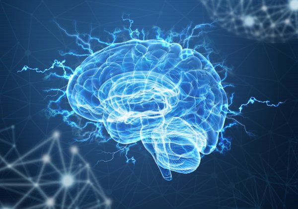 Ученые: Мозг пытается переключить внимание четыре раза в секунду