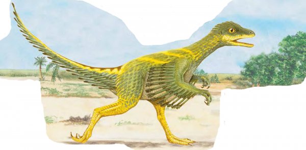 В Китае обнаружили два вида необычных динозавров