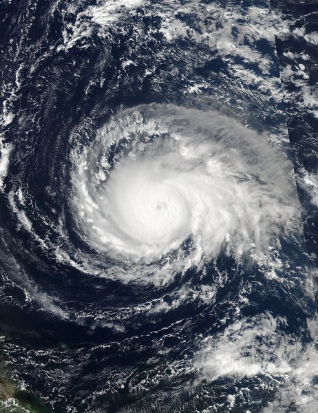 Ученые возложили вину за появление урагана «Флоренс» на людей