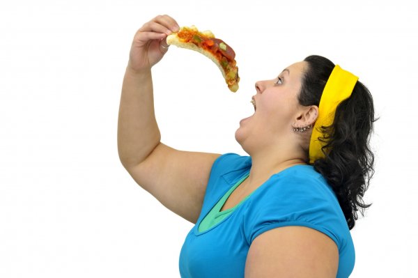 Ученые: Ожирение вредит работе мозга