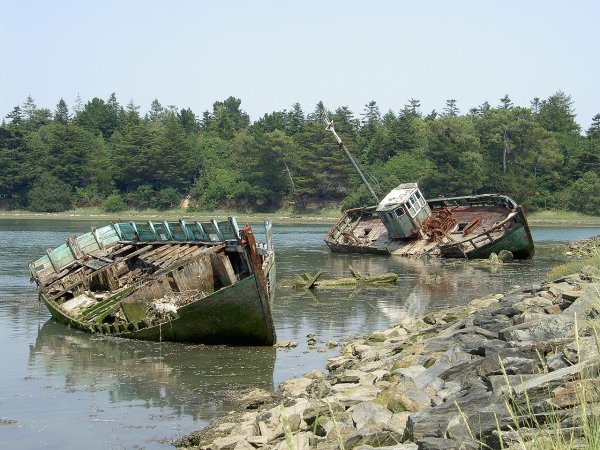Сотни ценных артефактов нашли на кладбище затонувших кораблей