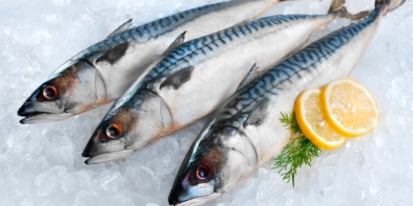 Бороться со слабоумием можно с помощью употребления масляной рыбы – учёные