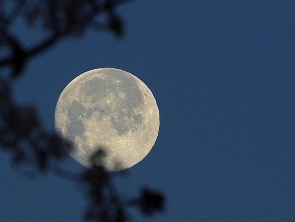 В Роскосмосе отказались от планов создания аппарата по изучению Луны