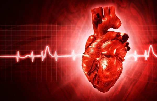 Сильное сердце может ухудшить симптомы при сердечной недостаточности – эксперты