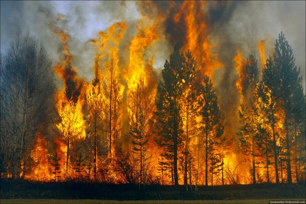 Уфологи: Пожары в Калифорнии возникли из-за пришельцев