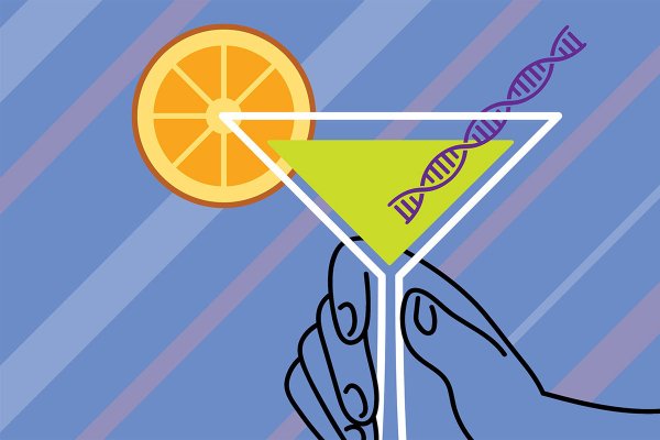 Учёные выявили ген, отвечающий за алкогольную зависимость