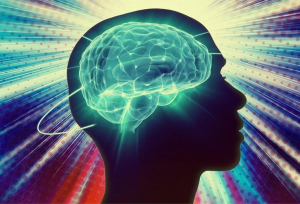 Нейрофизиологи изучили деятельность человеческого мозга во время принятия решений