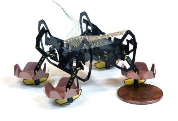 Ученые научили робота-таракана и робота-гусеницу ползать по наклонной поверхности