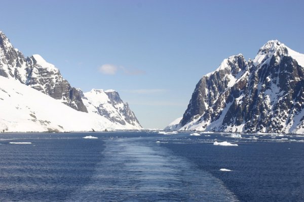 Ученые нашли жизнь в озере подо льдом Антарктиды