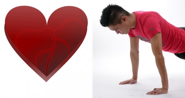 Ученые выявили упражнения для укрепления мужского сердца