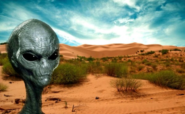 По соседству с пришельцами: Инопланетяне тайно следят за военными США
