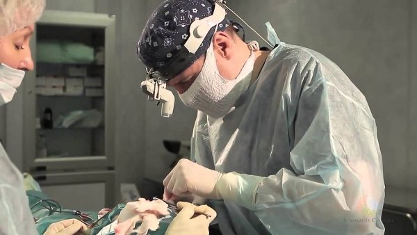 Новый нос за пять минут: Уникальный метод бескровной хирургии исправляет форму ткани без скальпеля