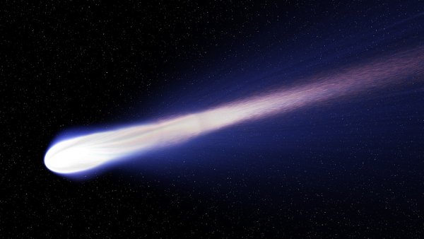 В метеорите нашли фрагменты кометы